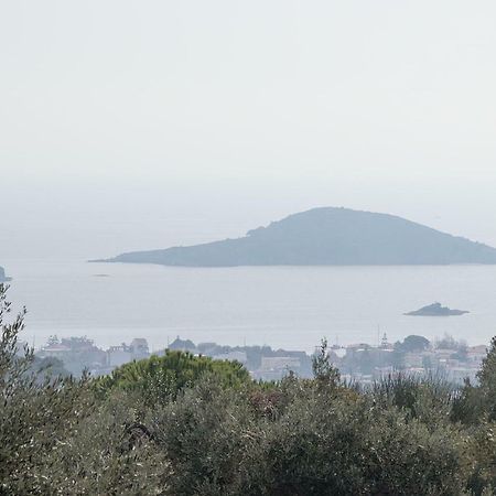 Armamento Villa Moni Evaggelistrias المظهر الخارجي الصورة